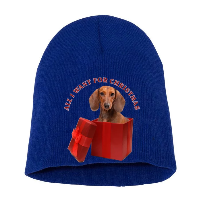 All I Want For Christmas Dachshund Gift Short Acrylic Beanie