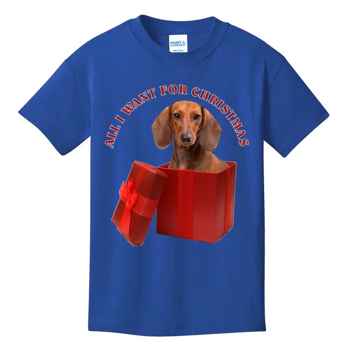 All I Want For Christmas Dachshund Gift Kids T-Shirt