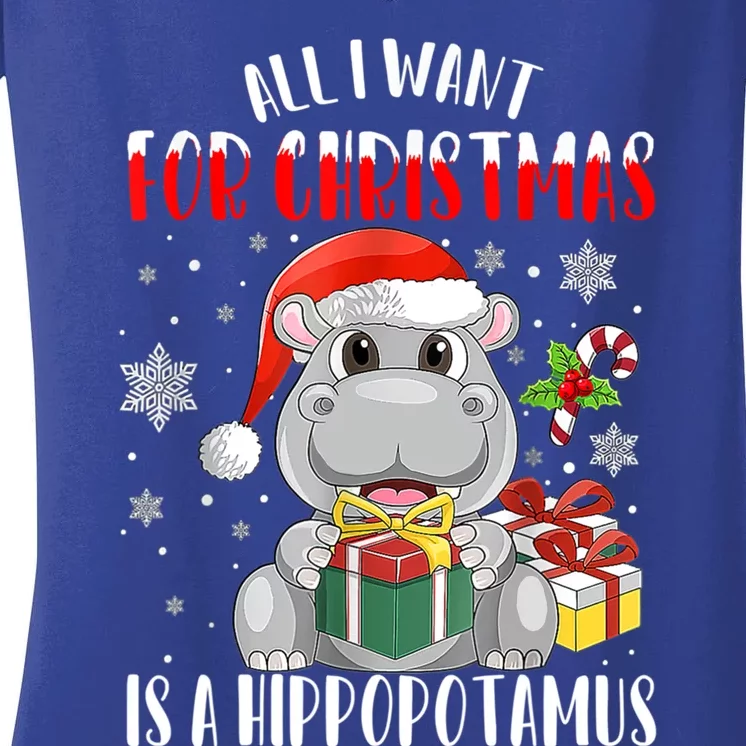 All I Want For Christmas Is A Hippopotamus Xmas Hippo Cool Gift Women's V-Neck T-Shirt