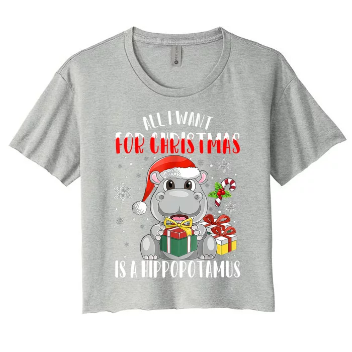 All I Want For Christmas Is A Hippopotamus Xmas Hippo Cool Gift Women's Crop Top Tee