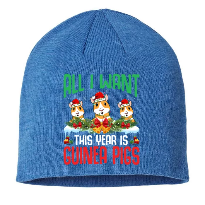 All I Want This Year Is Guinea Pigs Wearing Hat Christmas Gift 8 1/2in Sustainable Knit Beanie