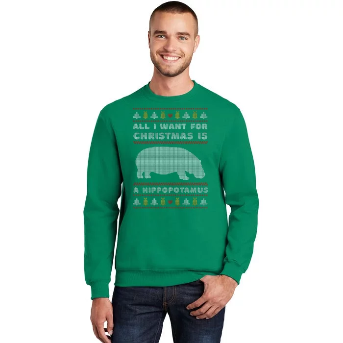 All I Want For Christmas Is A Hippopotamus Cute Ugly Christmas Sweatshirt