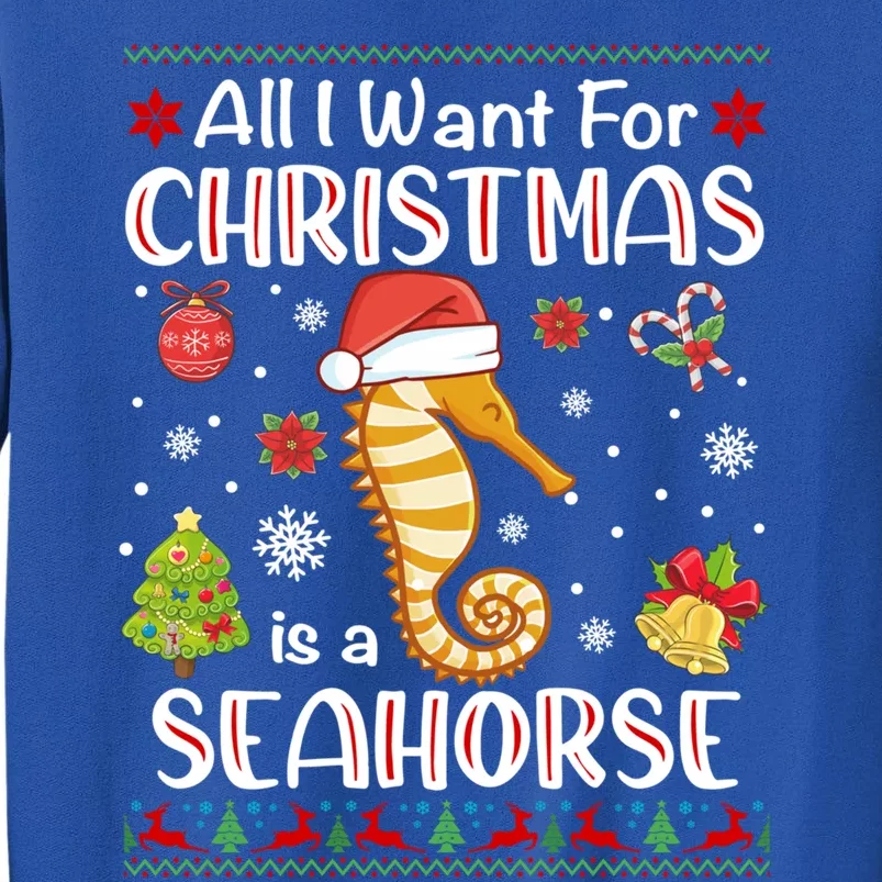 All I Want For Christmas Is A Seahorse Funny Xmas Holiday Funny Gift Sweatshirt