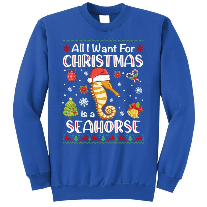 All I Want For Christmas Is A Seahorse Funny Xmas Holiday Funny Gift Sweatshirt