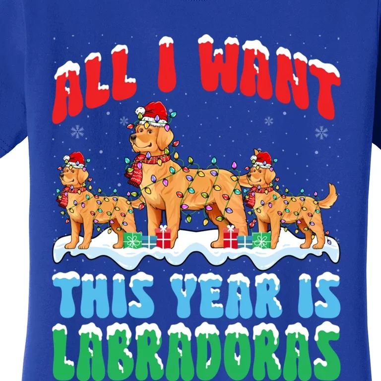 All I Want This Year Is Labrador Dog Wearing Christmas Hat Gift Women's T-Shirt