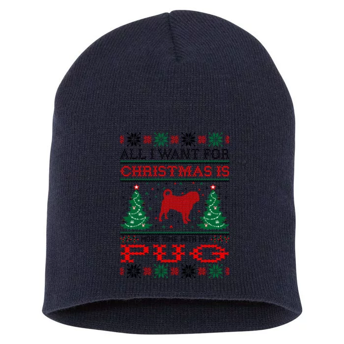 All I Want For Christmas More Time With Pug Great Gift Short Acrylic Beanie