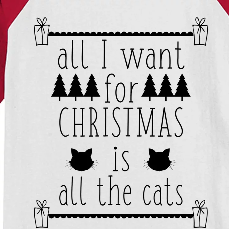 All I Want For Christmas Is All The Cats Holiday Cat Lover Gift Kids Colorblock Raglan Jersey