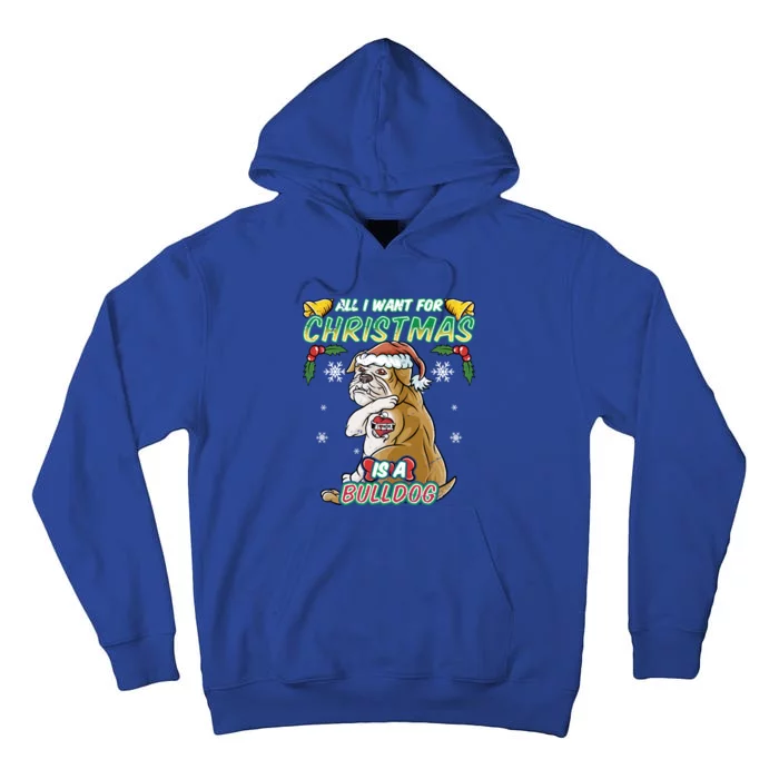 All I Want For Christmas Is A Bulldog Santa Claus Dog Xmas Gift Tall Hoodie