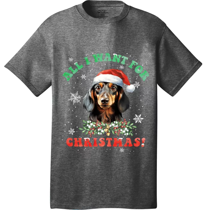 All I Want For Christmas Xmas Gifts For Dachshund Lovers T-Shirt