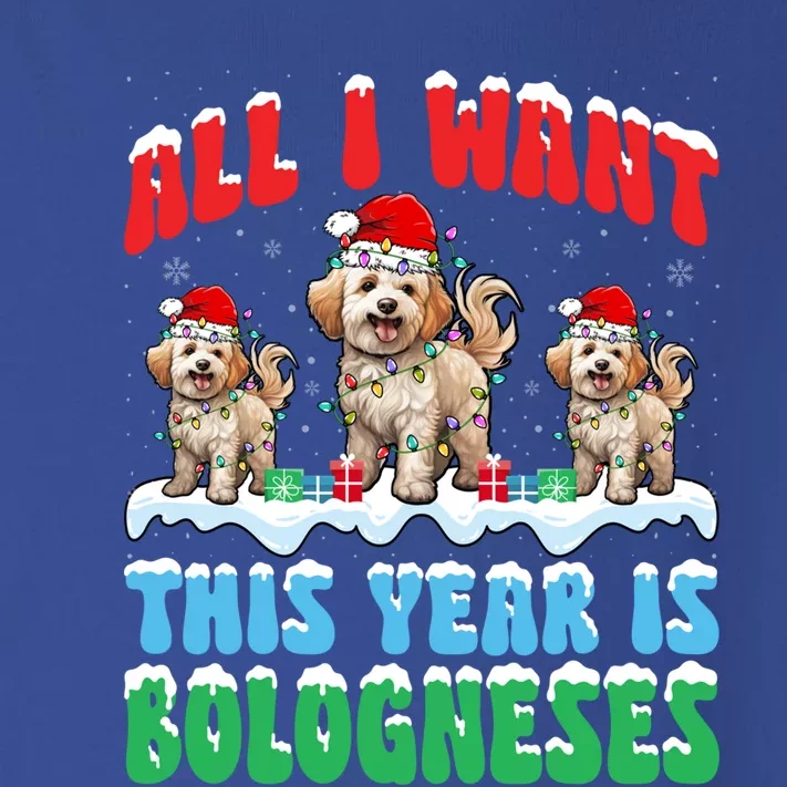 All I Want This Year Is Bolognese Dog Wearing Christmas Hat Gift Toddler Long Sleeve Shirt