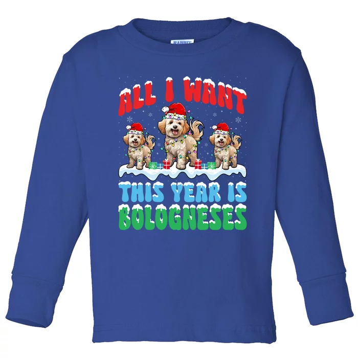 All I Want This Year Is Bolognese Dog Wearing Christmas Hat Gift Toddler Long Sleeve Shirt