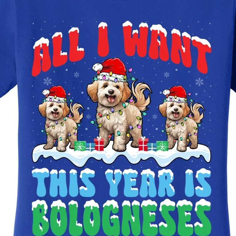 All I Want This Year Is Bolognese Dog Wearing Christmas Hat Gift Women's T-Shirt