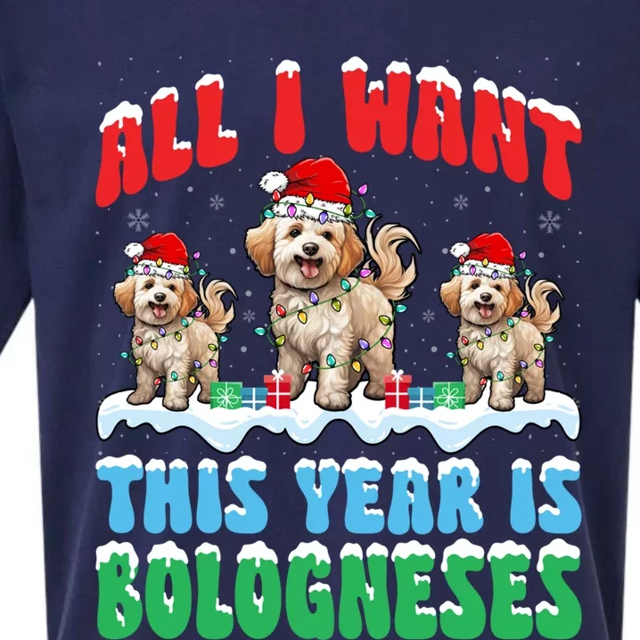 All I Want This Year Is Bolognese Dog Wearing Christmas Hat Gift Sueded Cloud Jersey T-Shirt