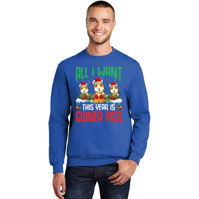 All I Want This Year Is Guinea Pigs Wearing Hat Christmas Cool Gift Tall Sweatshirt