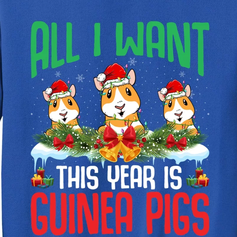 All I Want This Year Is Guinea Pigs Wearing Hat Christmas Cool Gift Tall Sweatshirt