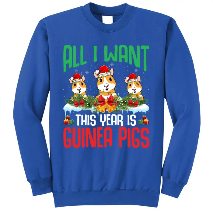 All I Want This Year Is Guinea Pigs Wearing Hat Christmas Cool Gift Tall Sweatshirt