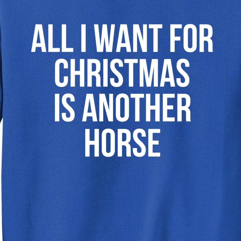 All I Want For Christmas Is Another Horse Cute Gift Tall Sweatshirt