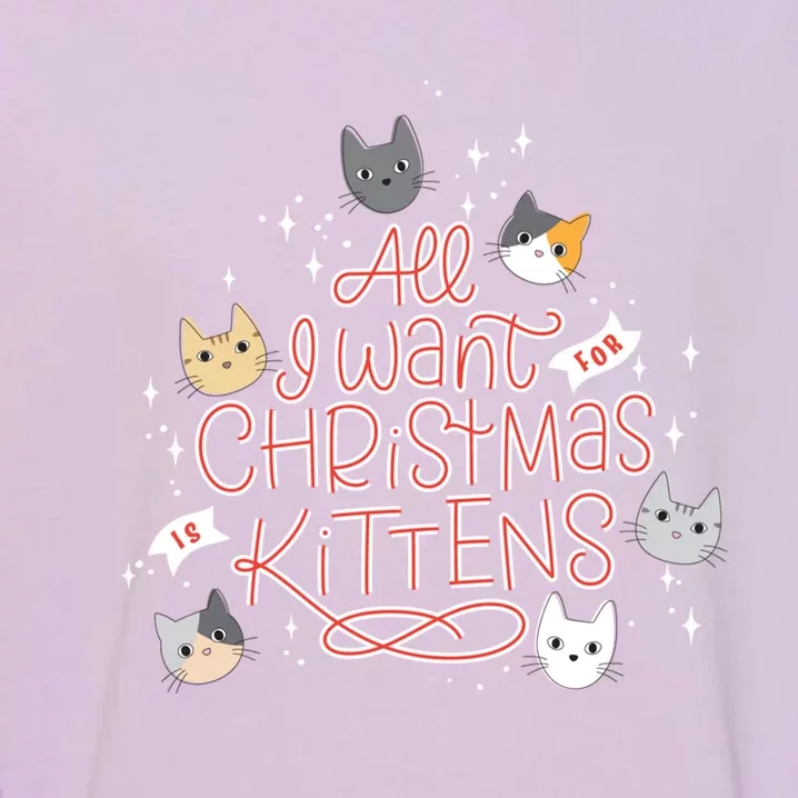 All I Want For Christmas Is Kittens Holiday Cute Cat Cool Gift Garment-Dyed Sweatshirt