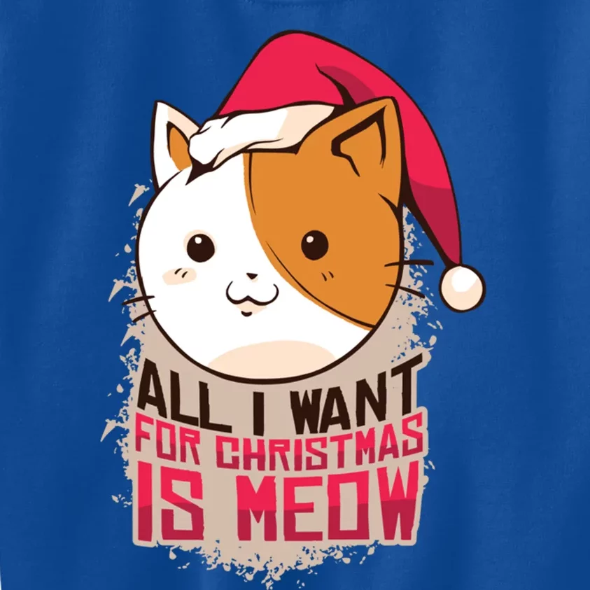 All I Want For Christmas Is Meow Funny Cat Gift Kids Sweatshirt