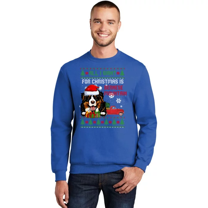 All I Want For Christmas Is Bernese Mountain Christmas Cat Gift Sweatshirt