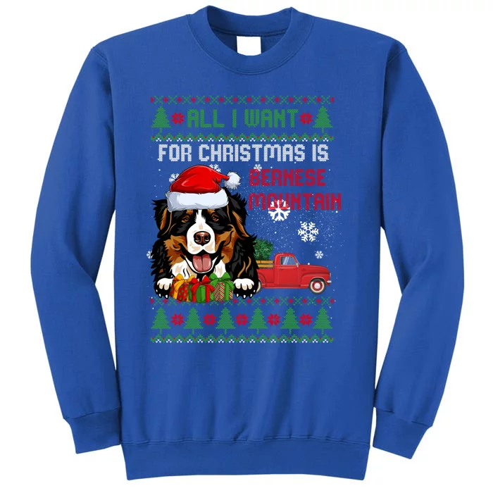 All I Want For Christmas Is Bernese Mountain Christmas Cat Gift Sweatshirt