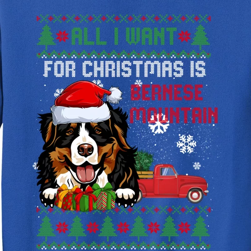 All I Want For Christmas Is Bernese Mountain Christmas Cat Gift Tall Sweatshirt