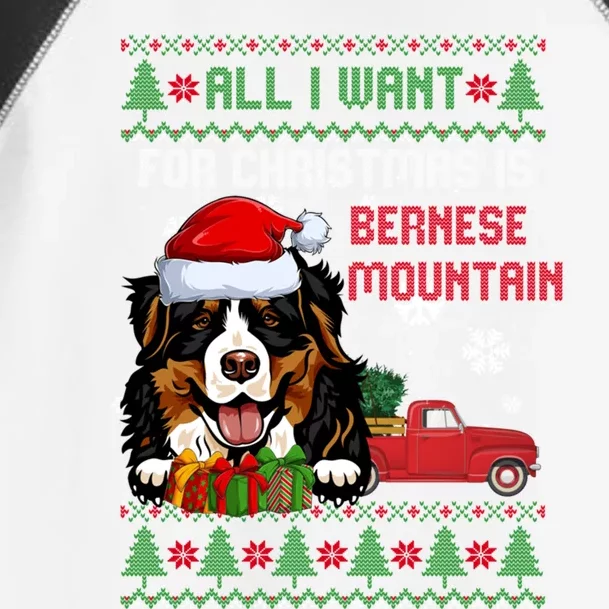 All I Want For Christmas Is Bernese Mountain Christmas Cat Gift Toddler Fine Jersey T-Shirt