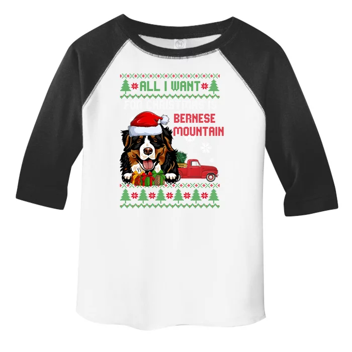 All I Want For Christmas Is Bernese Mountain Christmas Cat Gift Toddler Fine Jersey T-Shirt