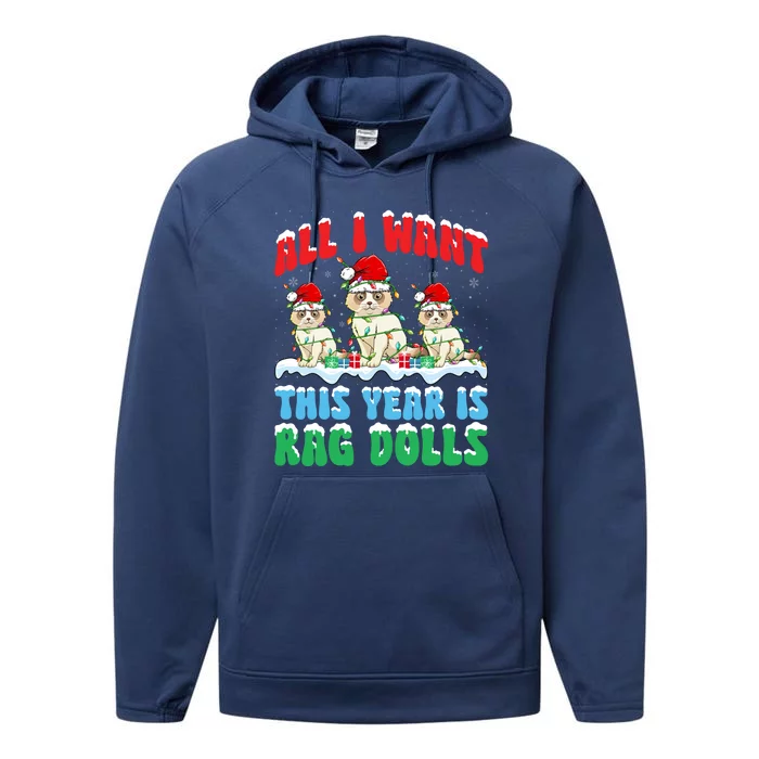 All I Want This Year Is Ragdoll Cat Wearing Christmas Hat Gift Performance Fleece Hoodie