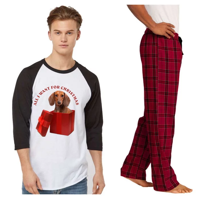 All I Want For Christmas Dachshund Gift Raglan Sleeve Pajama Set