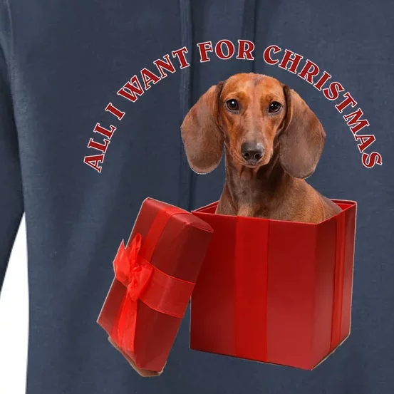 All I Want For Christmas Dachshund Gift Women's Pullover Hoodie