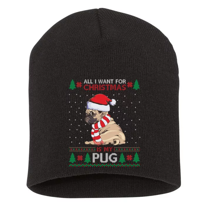 All I Want For Christmas Is My Pug Ugly Christmas Short Acrylic Beanie