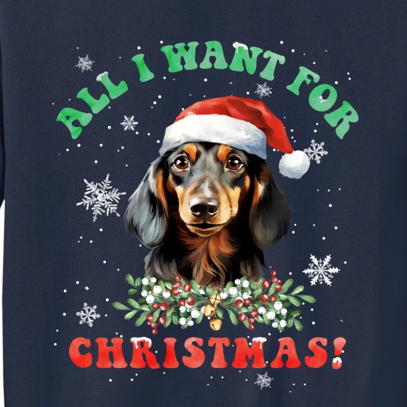 All I Want For Christmas Xmas Gifts For Dachshund Lovers Sweatshirt