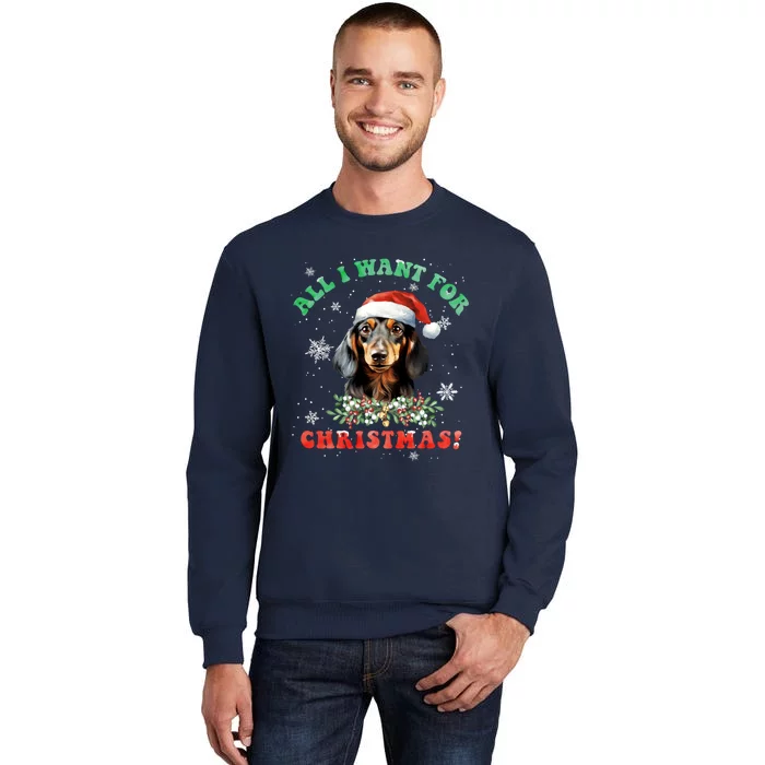 All I Want For Christmas Xmas Gifts For Dachshund Lovers Tall Sweatshirt