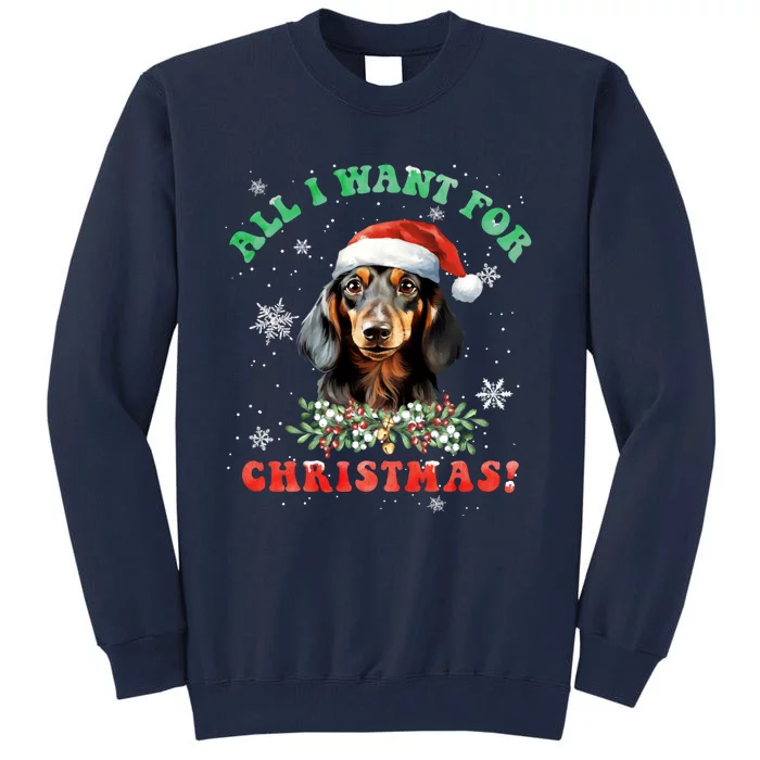 All I Want For Christmas Xmas Gifts For Dachshund Lovers Tall Sweatshirt