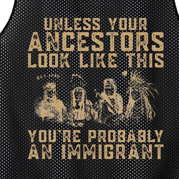 American Indian YouRe Probably An Immigrant Mesh Reversible Basketball Jersey Tank