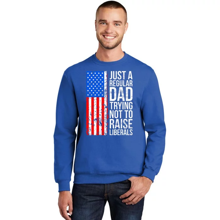 Antiliberal Just A Regular Dad Trying Not To Raise Liberals Sweatshirt