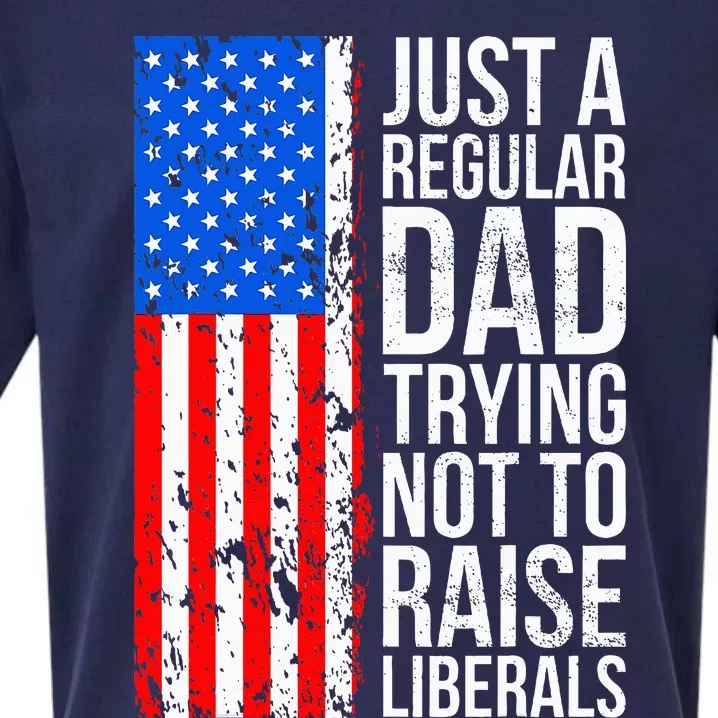 Antiliberal Just A Regular Dad Trying Not To Raise Liberals Sueded Cloud Jersey T-Shirt