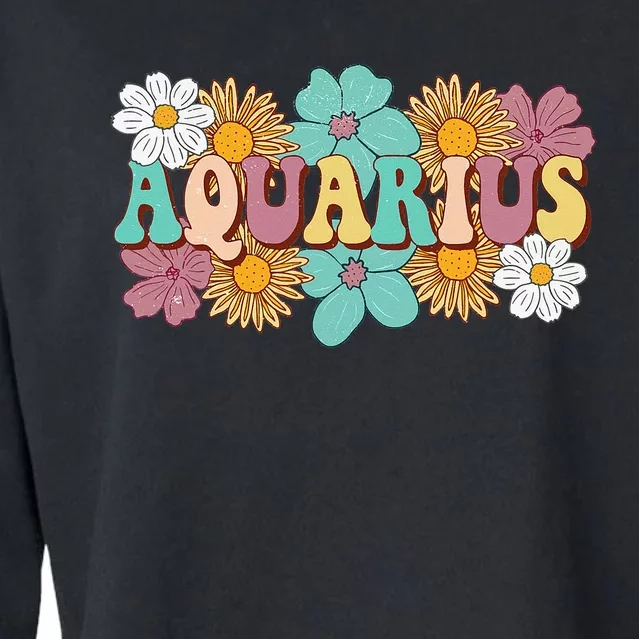 Astrology January February Birthday Zodiac sign Aquarius Cropped Pullover Crew