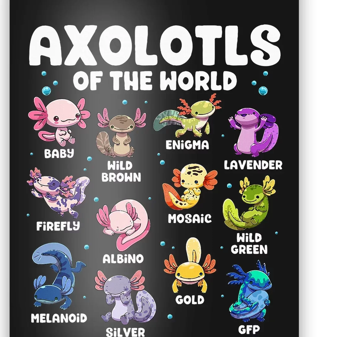 Axolotl Kawaii Axolotls Of The World Axolotl Animals Poster