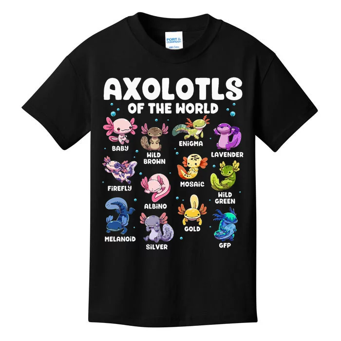 Axolotl Kawaii Axolotls Of The World Axolotl Animals Kids T-Shirt