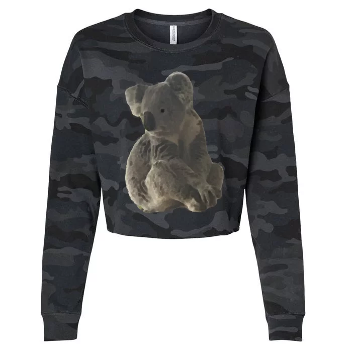 Alert Koala Cropped Pullover Crew