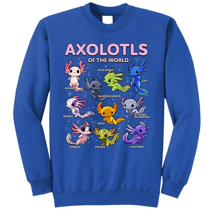 Axolotl Kawaii Axolotls Of The World Axolotl Animals Tall Sweatshirt