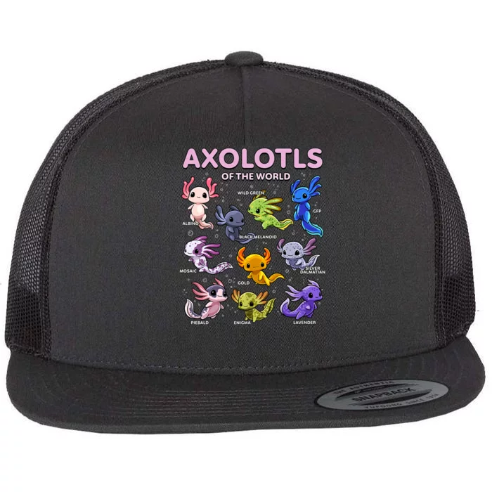 Axolotl Kawaii Axolotls Of The World Axolotl Animals Flat Bill Trucker Hat