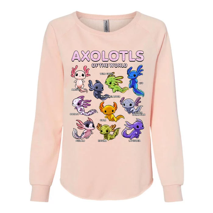 Axolotl Kawaii Axolotls Of The World Axolotl Animals Womens California Wash Sweatshirt