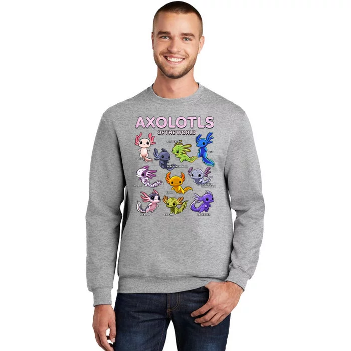 Axolotl Kawaii Axolotls Of The World Axolotl Animals Tall Sweatshirt