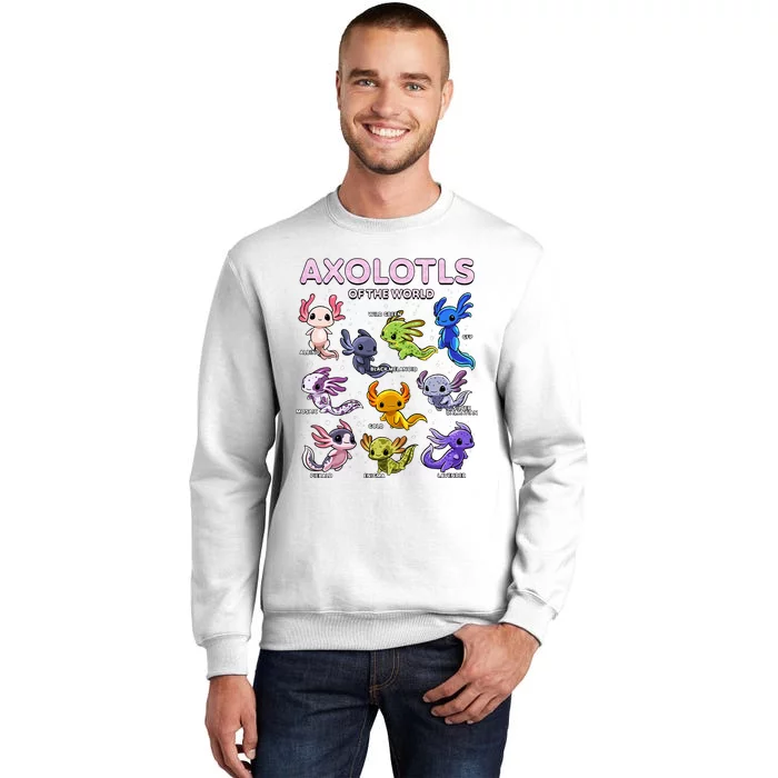 Axolotl Kawaii Axolotls Of The World Axolotl Animals Sweatshirt