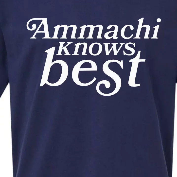 Ammachi Knows Best Grandmother Gift Sueded Cloud Jersey T-Shirt