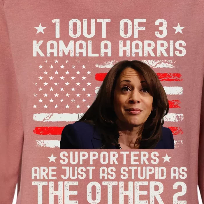 Anti Kamala Harris Stupid Joke American Flag Usa Humor Womens California Wash Sweatshirt