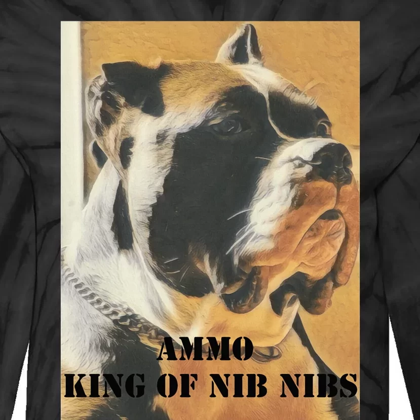 A.MM.O K.ING OF N.IB N.IBS Tie-Dye Long Sleeve Shirt